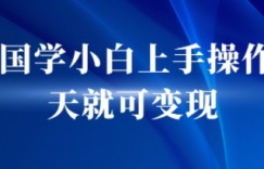 AI国学小白上手操作当天就可变现，轻松易上手