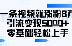 一条视频就涨粉8W引流变现5k+，0基础项目轻松上手