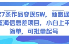 27条作品变现5W，新跑通蓝海信息差项目，小白上手简单，可批量起号
