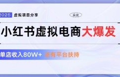 小红书虚拟店铺  蓝海项目  小白轻松一天3张+