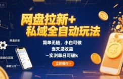 网盘拉新+私域全自动玩法，简单无脑，小白可做，当天见收益，实测单日可破k
