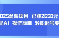 2025蓝海项目 已挣2650米 全程AI 操作简单 轻松起号变现