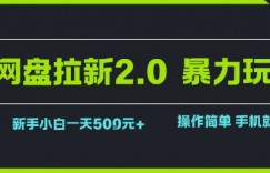 网盘拉新2.0暴力玩法，新手小白一天轻松5张，操作简单