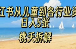 小红书从儿童到各行业学习资料，日入5张