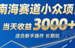 南海赛道小众项目，当天收益1k+适合新手操作可以长期玩