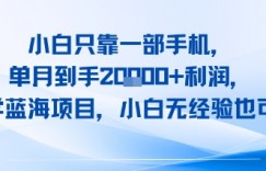 小白只靠一部手机，单月到手2W+利润，玄学蓝海项目，小白无经验也可做
