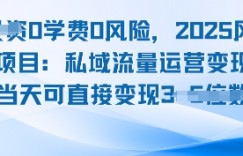 0学费0风险，2025风口项目：私域流量运营变现，当天可直接变现