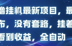 零撸最新项目，最新发布，没有套路，挂着就能看到收益，全自动