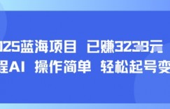 2025蓝海项目 已挣1k+  全程AI 操作简单 轻松起号变现