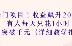 冷门项目！收益飙升200% 有人每天只花1小时 收益突破1k(详细教学指南)