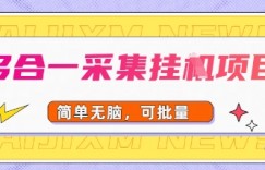 多合一采集项目，无脑操作，简单批量