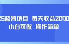 2025蓝海项目 每天收益多张 小白可做 操作简单