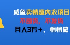 咸鱼卖情趣内衣项目，不囤货，不发货，月入3W+，悄悄做