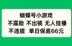 蝴蝶号小游戏，不露脸不出境 无人挂播，不违规 单日保底66米