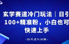 玄学赛道冷门玩法，日引100+精准粉，小白也可快速上手