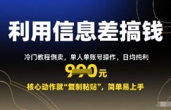 利用信息差搞钱：冷门教程倒卖，单人单账号操作，日均纯利多张，核心动作就“复制粘贴”，简单易上手