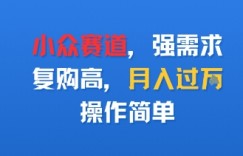小众赛道，强需求，复购高，月入过w，操作简单