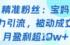 精准粉丝：宝妈暴力引流方法，被动成交，月盈利超1w+