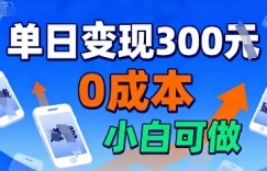 适合新手起步，零成本就能做，当天操作当天见收益，还能无限复制放大的项目