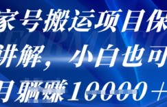 百家号搬运项目保姆级讲解，操作简单，小白也可以月入1w+