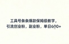工具号条条爆款保姆级教学，引流创业粉，副业粉，单日6张