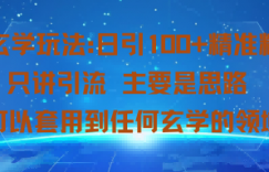 玄学玩法：日引100+精准粉只讲引流主要是思路可以套用到任何玄学的领域