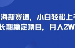 蓝海新赛道，小白轻松上手，长期稳定项目，月入2W
