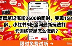 两篇笔记涨粉2600的同时，变现多张，小红书S粉全网最新玩法打卡训练营是怎么做的？