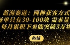 蓝海赛道：两种获客方式每单只有30-100米 需求量大每月累积下来能突破3W