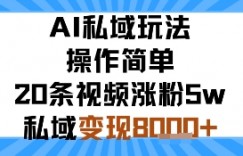 AI私域玩法，操作简单，20条视频涨粉5w，私域变现8k+