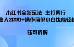 小红书同行项目，单日收益多张小白可轻松上手