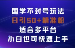 国学赛道不封号玩法，日引50+精准粉适合多平台，小白也可快速上手