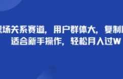 职场关系赛道，用户群体大，复制粘贴，适合新手操作，轻松月入过W