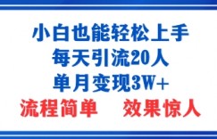 小白也能轻松上手的宝妈项目，每天引流20人，单月变现3W+，流程简单，效果惊人