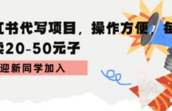 小红书代写项目，操作方便，每单可卖20-50米