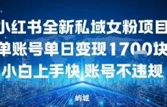 小红书全新私域女粉项目单账号单日变现多张，小白上手快账号不违规建议准备多账号操作
