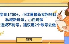 单日变现多张，小红薯最新女粉项目私域新玩法，小白可做，不违规不封号，建议用2个账号去做
