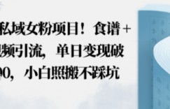 私域女粉项目！食谱+短视频引流，单日变现破多张，小白照搬不踩坑