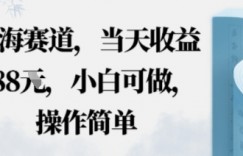 蓝海赛道，当天收益多张，小白可做，操作简单