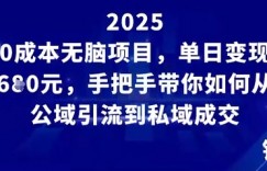 0成本无脑项目，单日变现多张，手把手带你如何从公域引流到私域成交