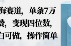 蓝海赛道，单条7W点赞，变现四位数，小白可做，操作简单