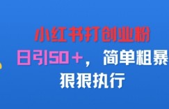 小红书打创业粉，日引50+，简单粗暴，狠狠执行