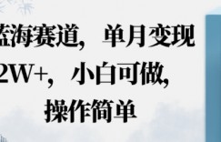蓝海赛道，小红书私域项目，单月变现2W+，小白可做，操作简单