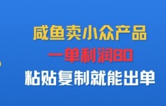 咸鱼卖小众产品，一单利润80，粘贴复制就能出单