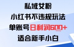 私域女粉：小红书平台不违规玩法单账号日利润6张+适合新手小白