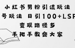 小红书男粉引流玩法不废号玩法日引100+LSP粉，变现路径多