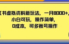 小红书虚拟资料新玩法，一月8k+小白可玩，操作简单
