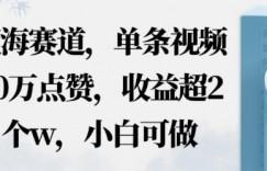 蓝海赛道，AI哲学视频玩法，单条视频60W点赞，收益超2个w，小白可做