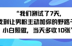 我们测试了7天，找到让男粉主动加你的野路子！小白照做，当天收益多张