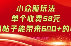 小众新玩法单个收费58米每篇帖子能带来6张+的收益